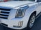 2019 Cadillac Escalade ESV Luxury